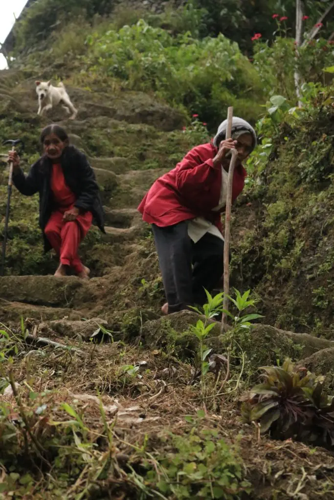 Mujeres Batad Filipinas Mujeres Batad Filipinas