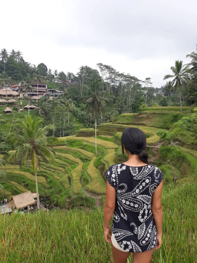 Terrazas arroz Tegalalang Bali Indonesia