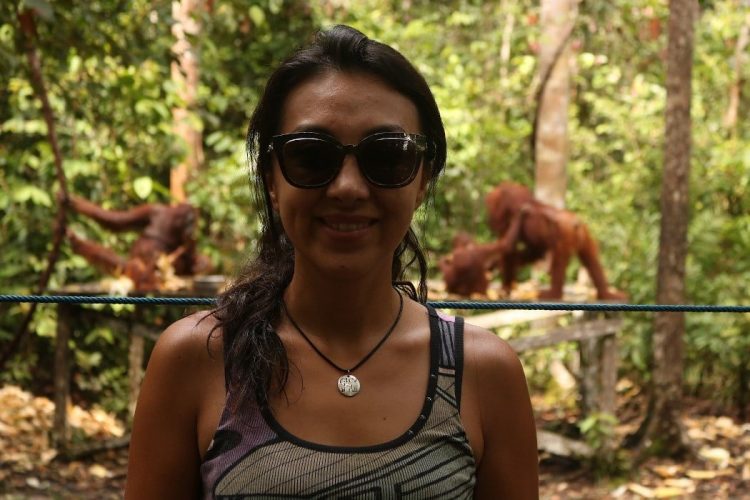 Orangutanes Sumatra y Borneo