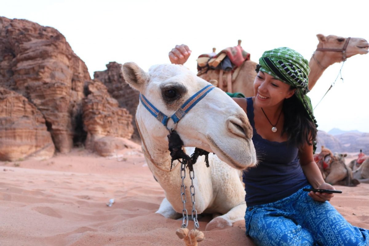 Camellos Wadi Rum Jordania