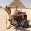 Camello en Pirámides de Egipto