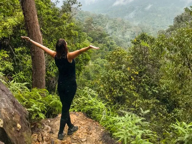 Selva Taman Negara Malasia Selva Taman Negara Malasia