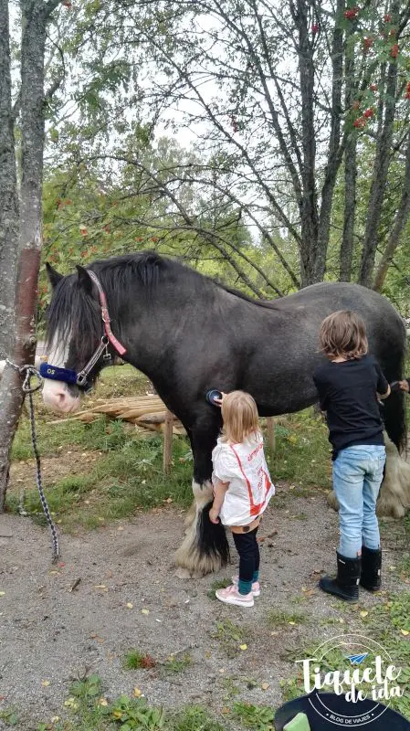 EXPERIENCIA COMO AUPAIR EN SUECIA PARA COLOMBIANOS