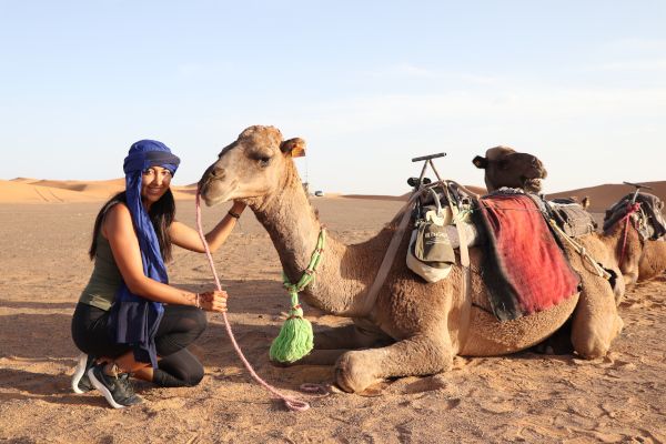 Camello en desierto de Merzouga Marruecos