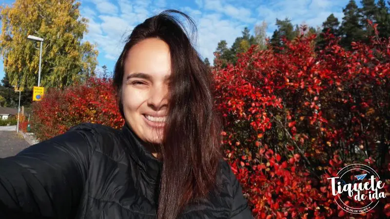 Experiencia aupair en Suecia para Colombianos