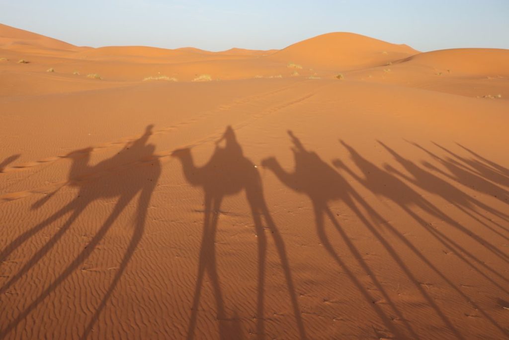 Silueta Camellos desierto de Merzouga Marruecos