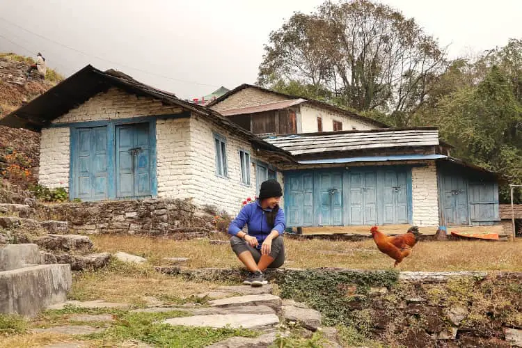 Trekking Poon Hill Nepal
